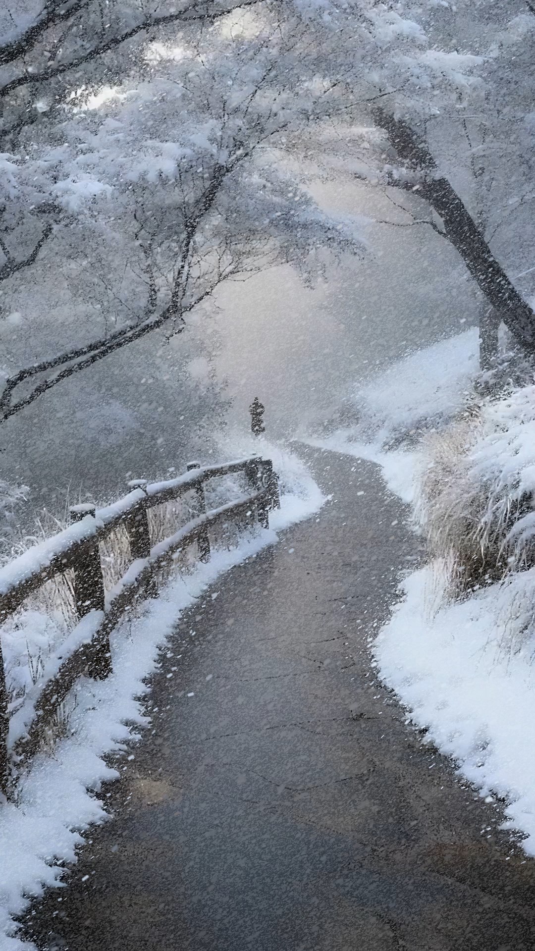 孤独下雪天