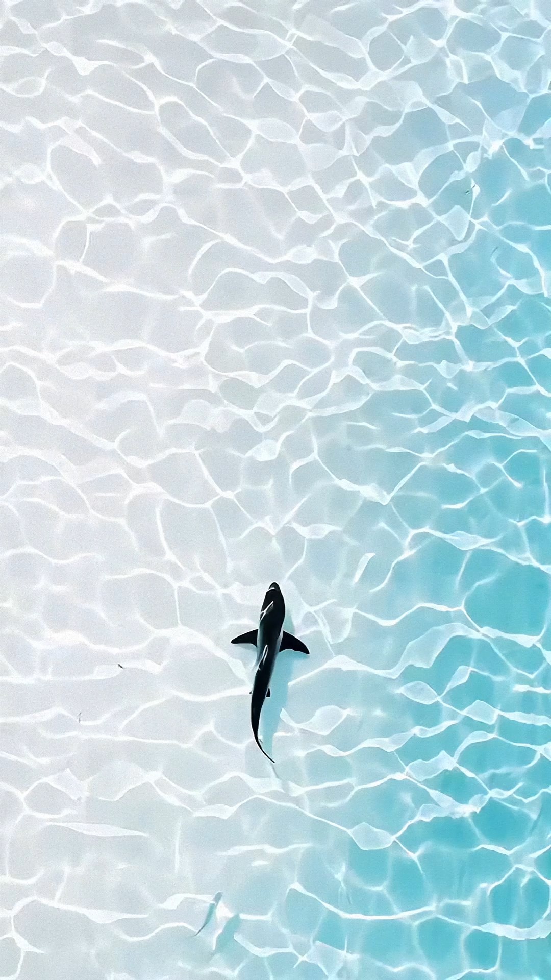玻璃海洋