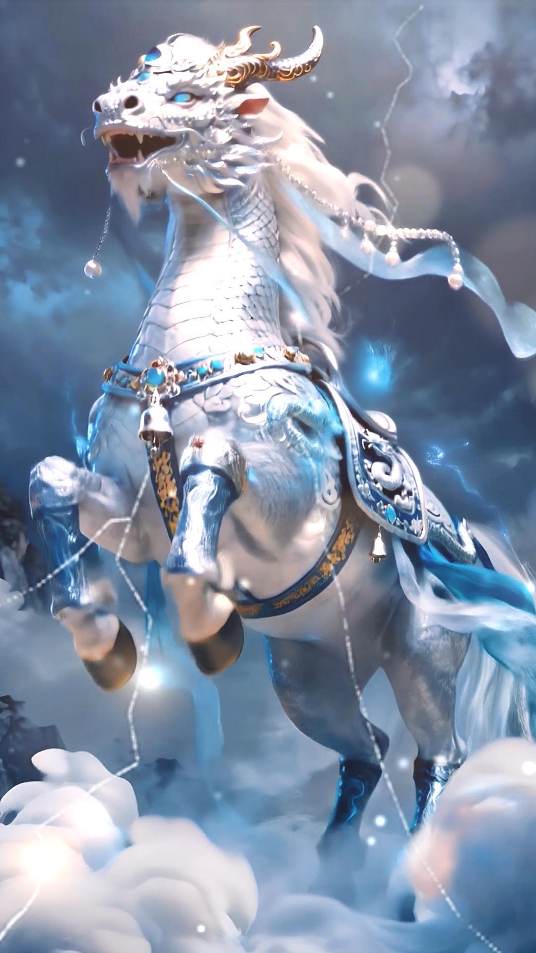 马年见白龙马能转运