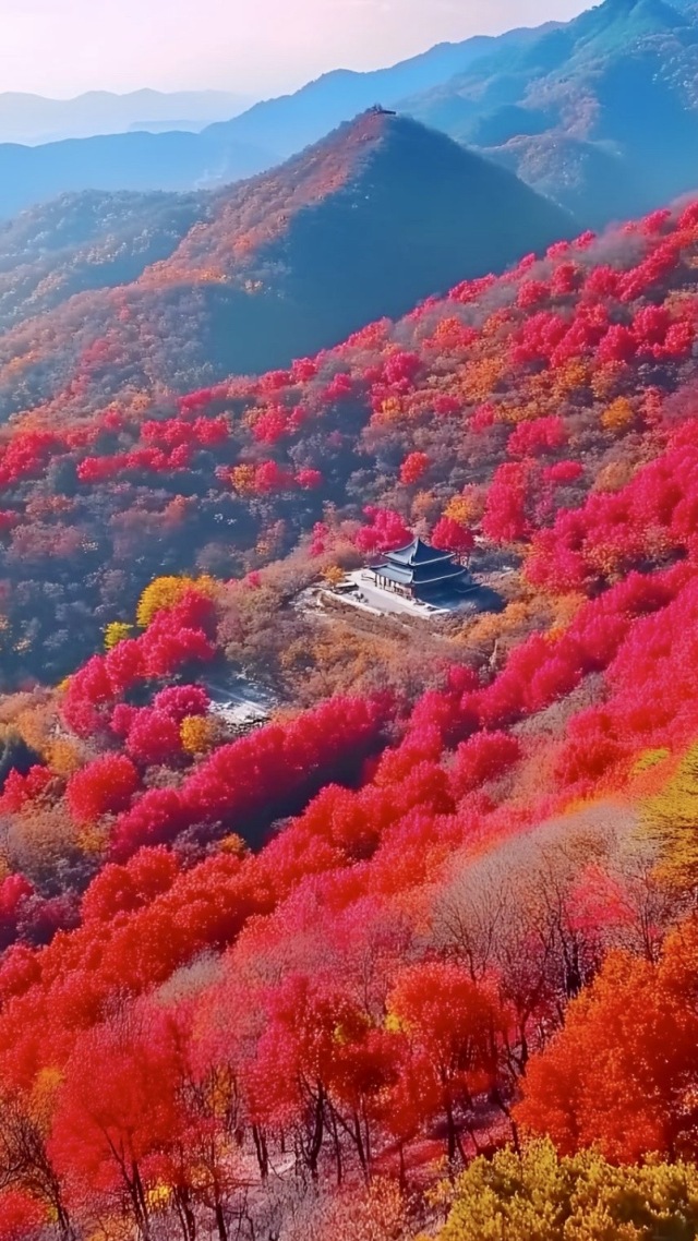 紅葉
