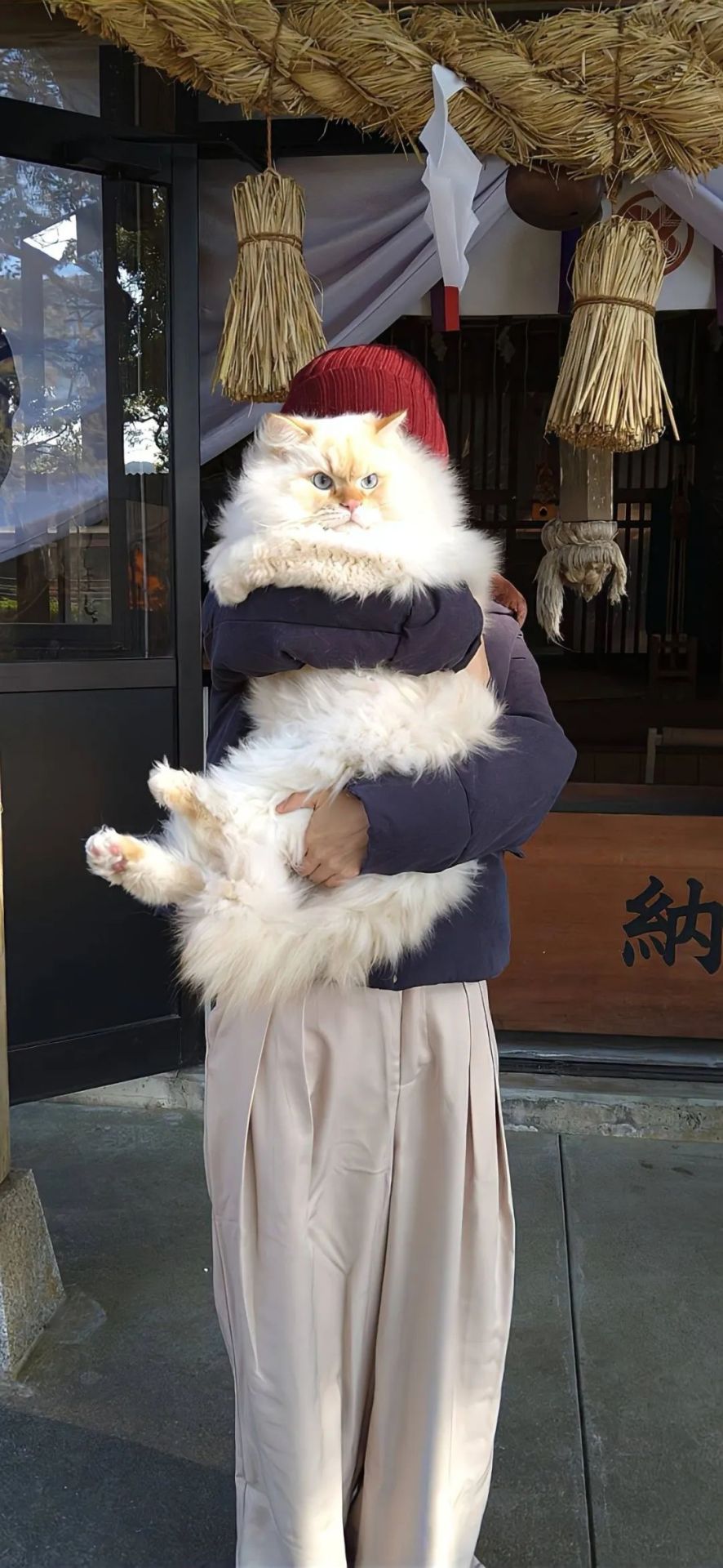 治愈