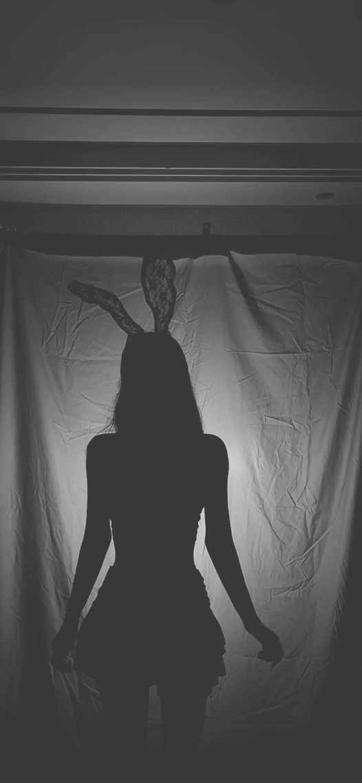 性感的兔女郎