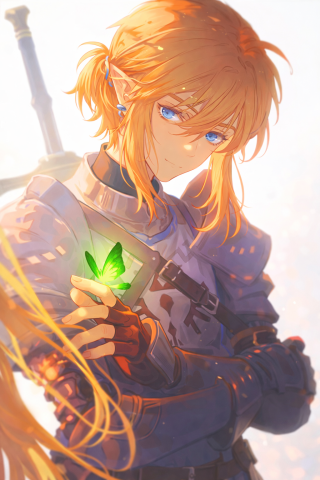 林克骑士