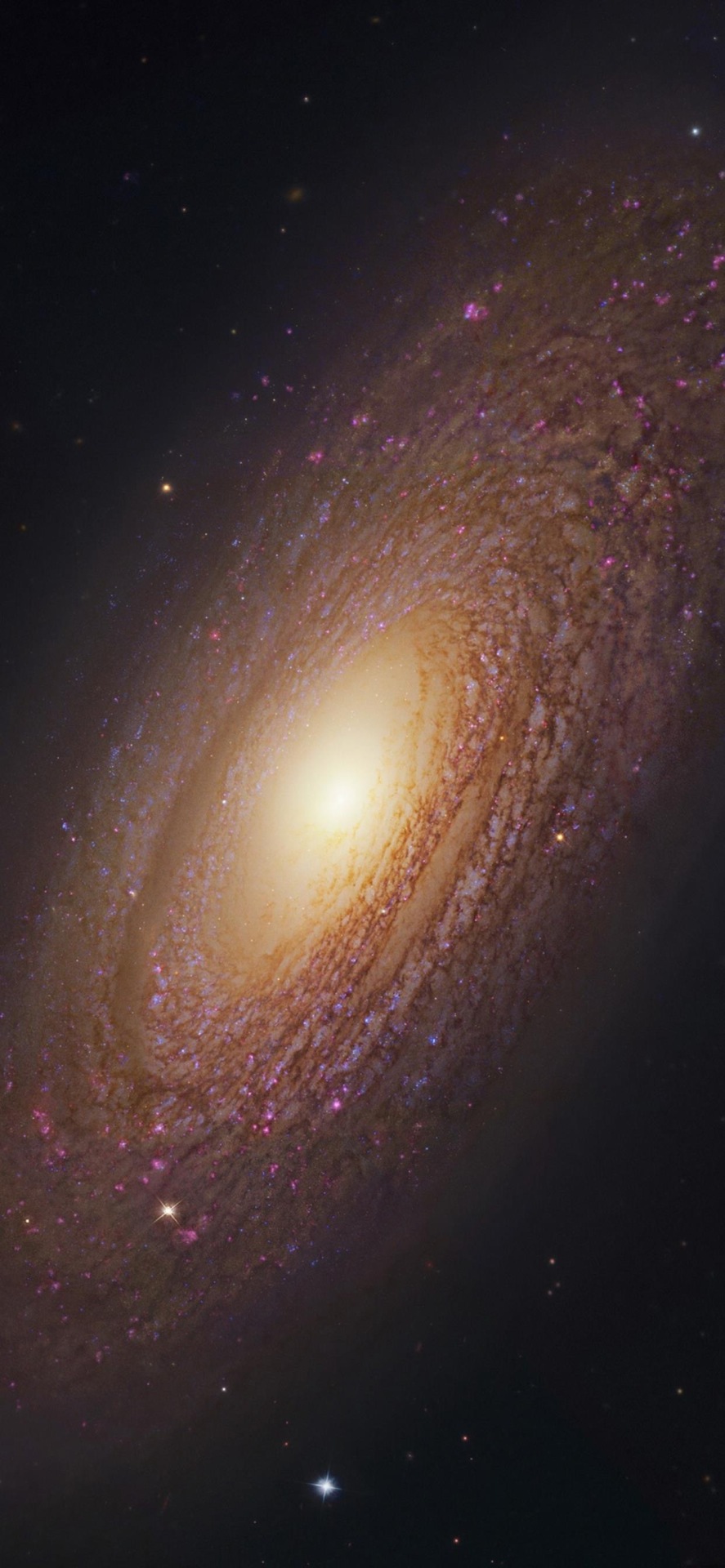 素材星空