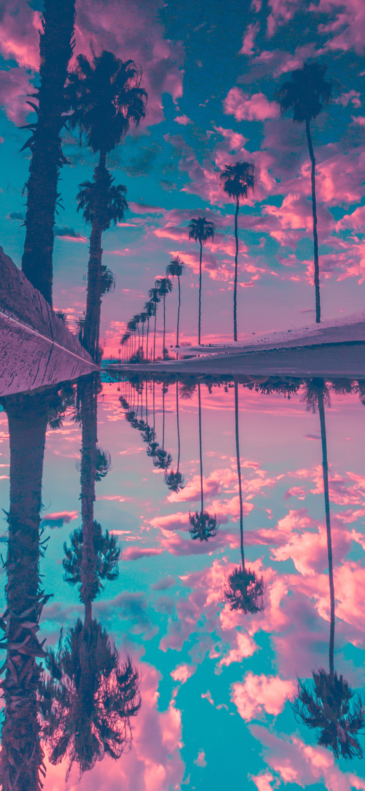 夕陽未落 傍晚將至 我們私奔吧