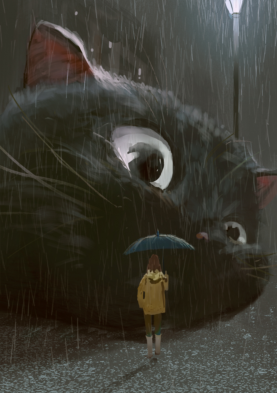 雨中的大貓