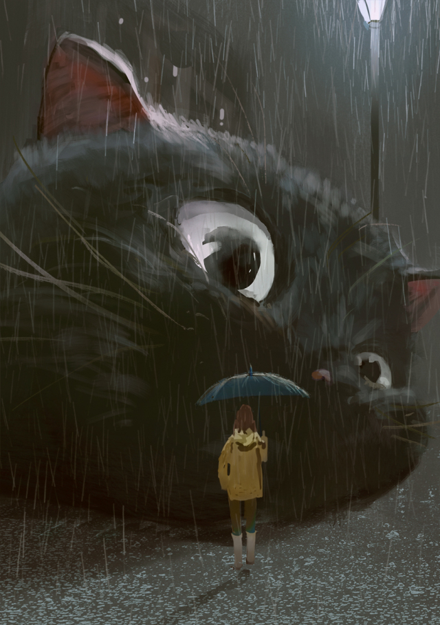 雨中的大貓