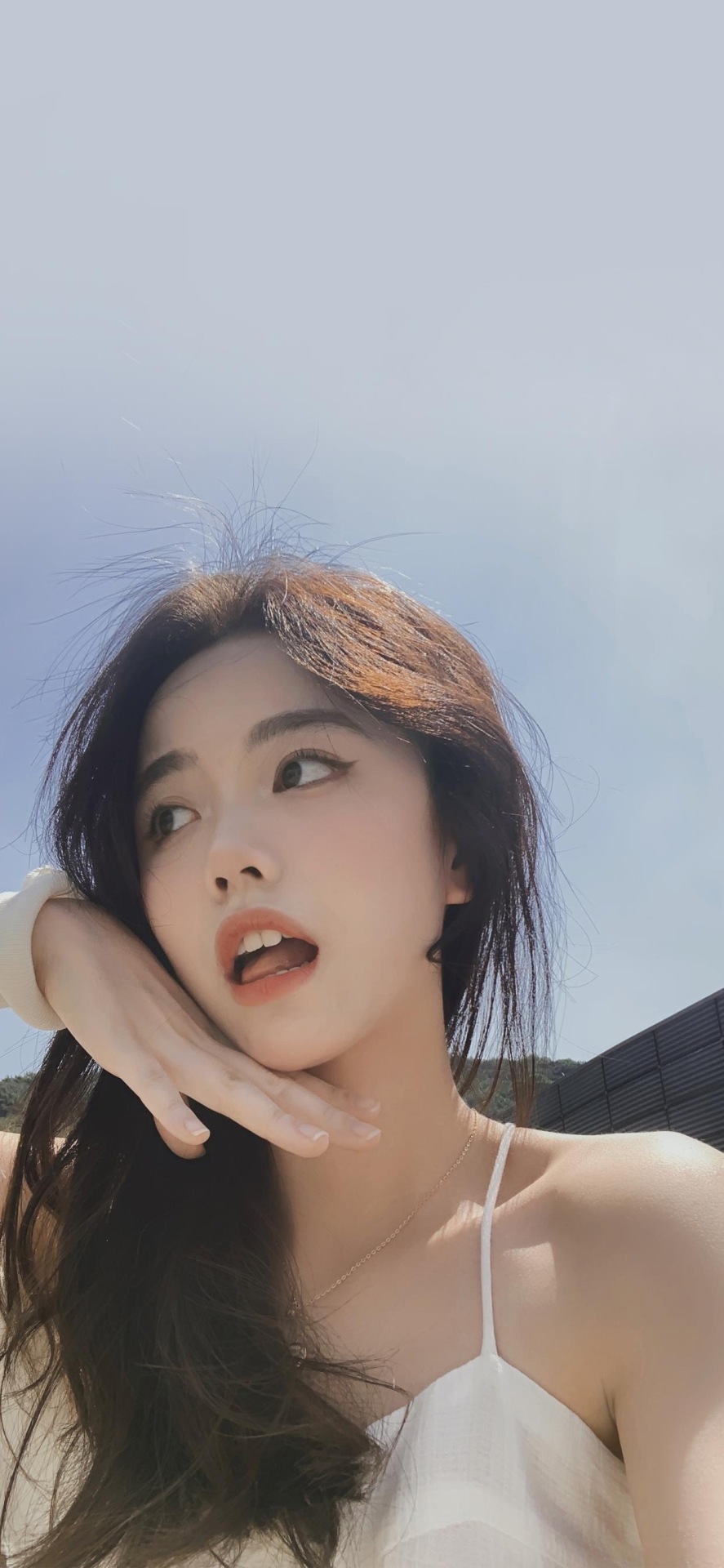 新人打卡