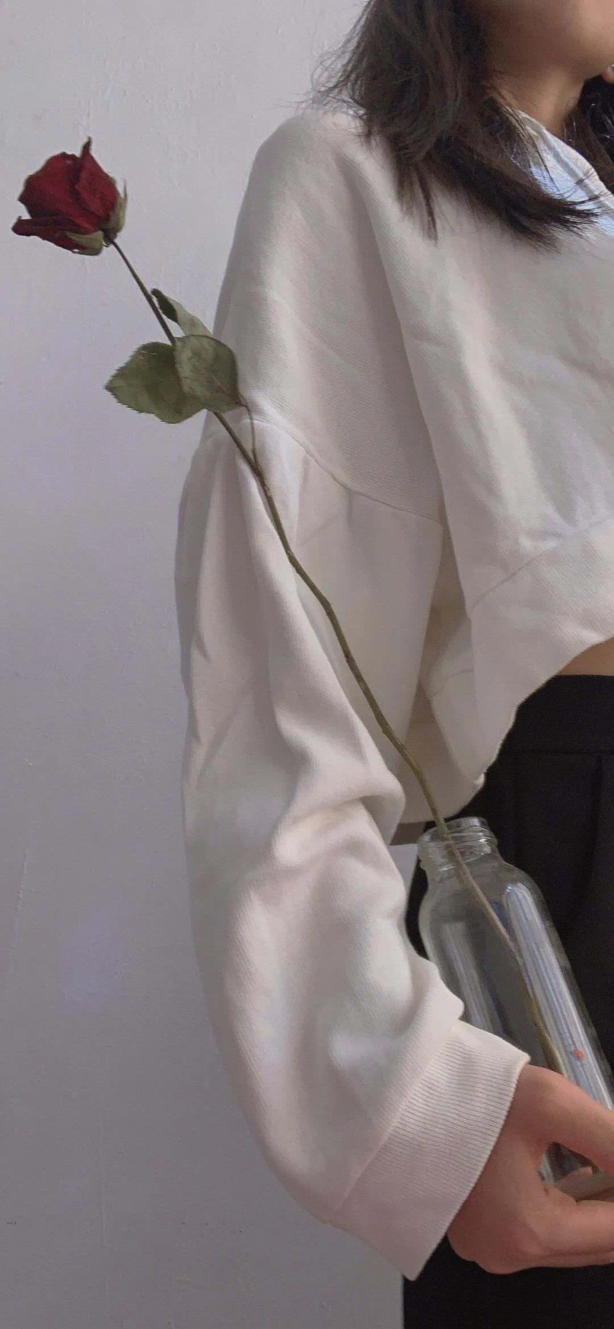 小清新