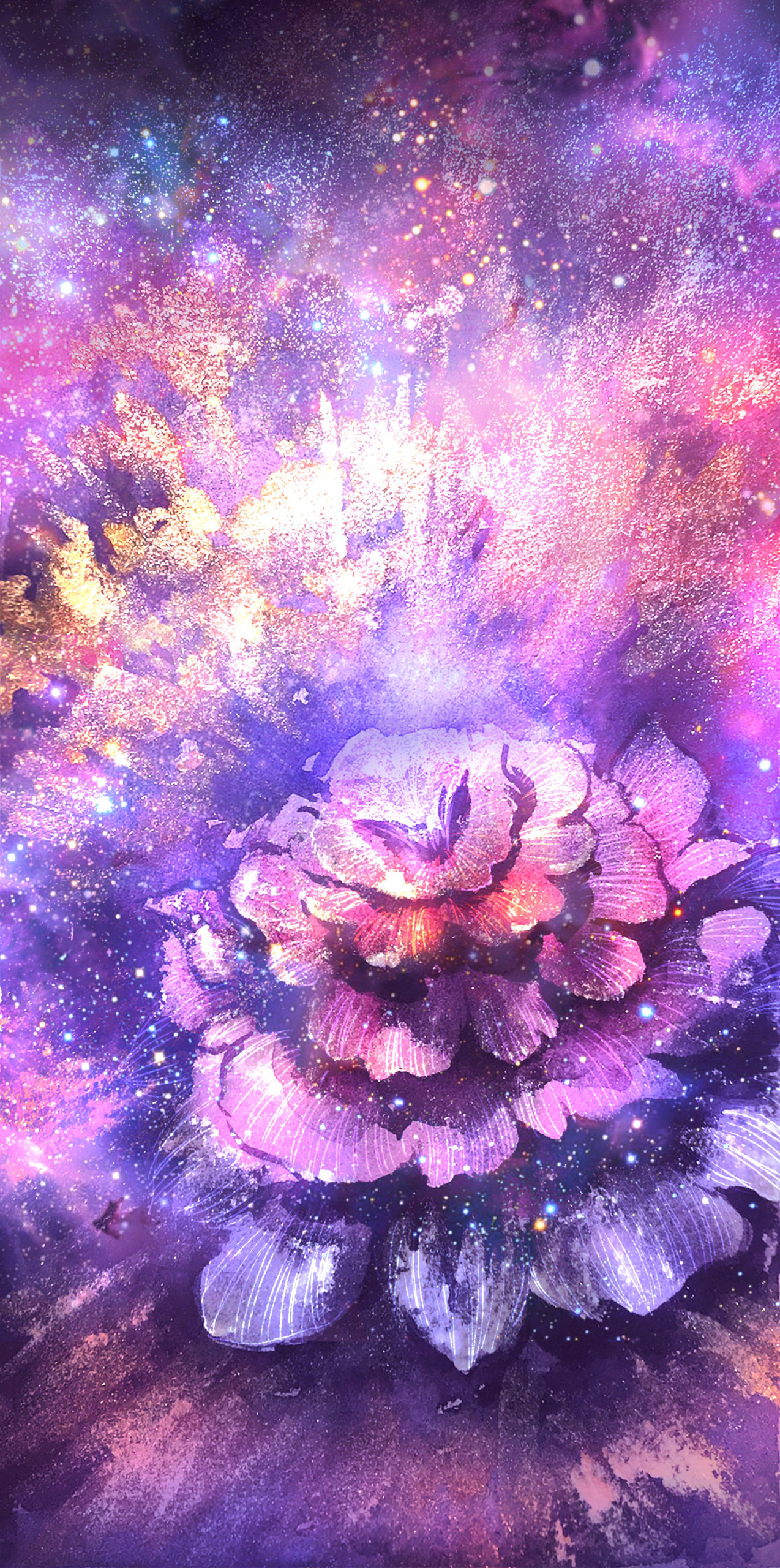 綻放的花朵