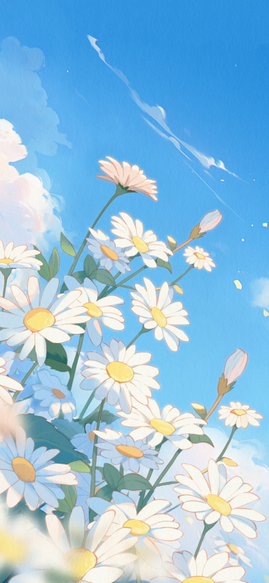 小雛菊
