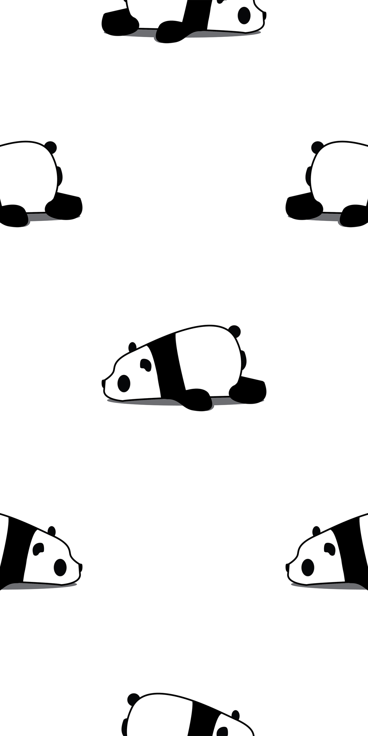 【平铺熊猫 可爱】