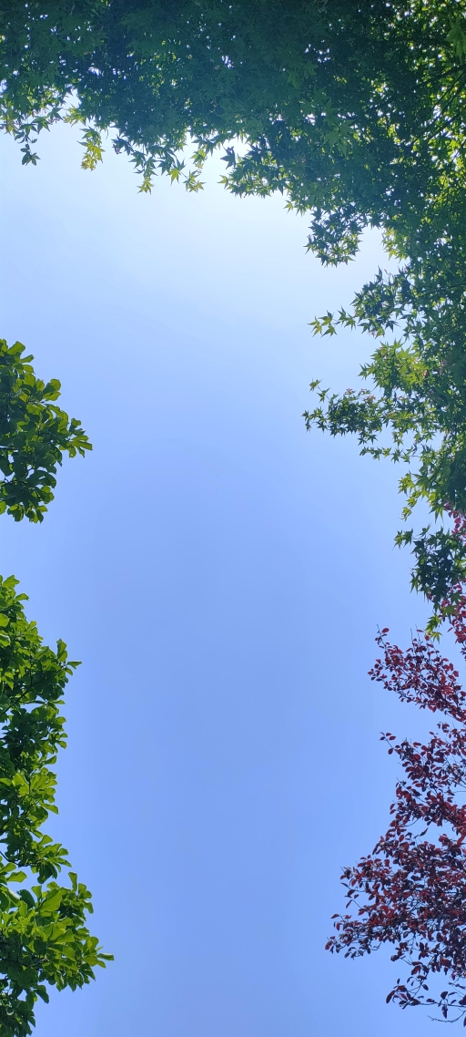 壁纸天空