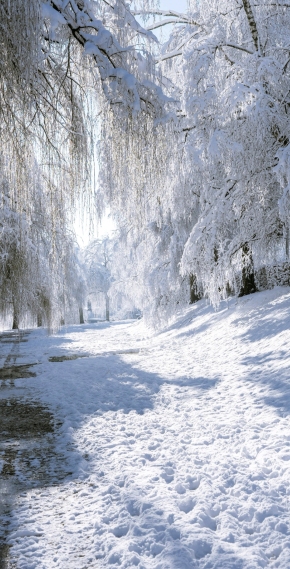 雪景美观