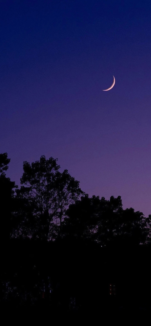 聊天背景圖夜