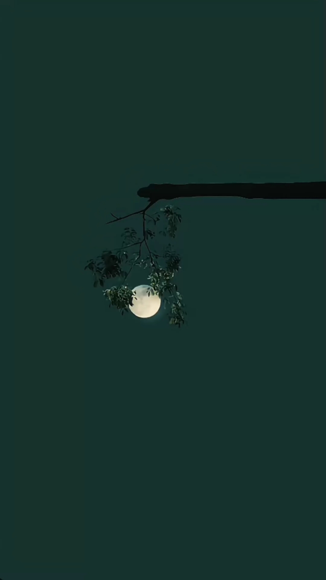 治愈夜景4k壁纸①