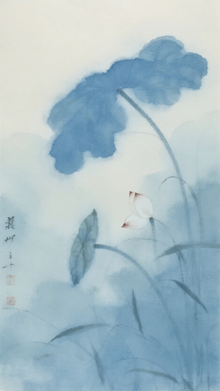 荷花