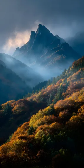 雾锁峰尖，秋染层林，山谷里的晨雾鎏金时刻