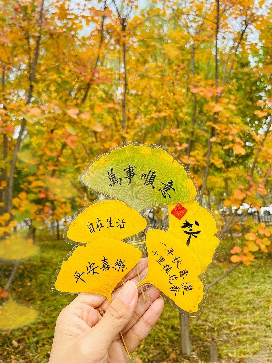 落葉
