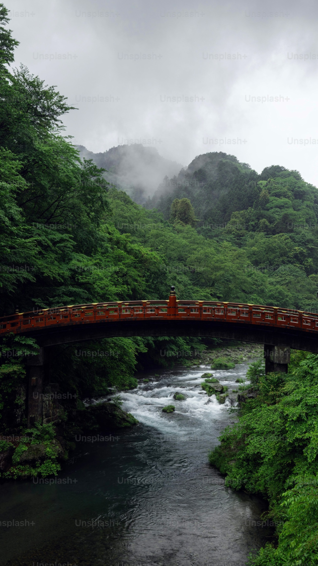 大自然护眼风景