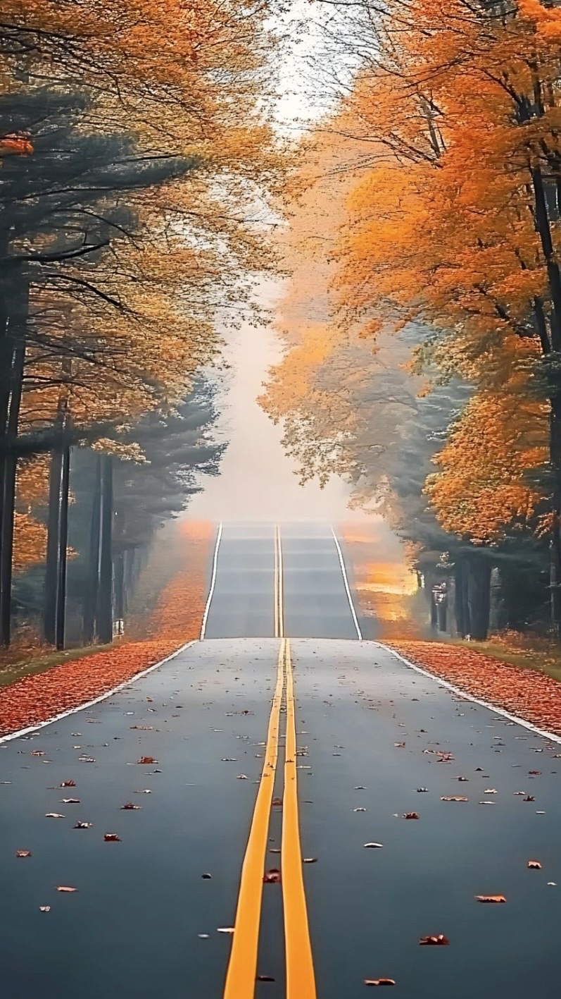 路