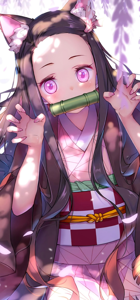 禰豆子