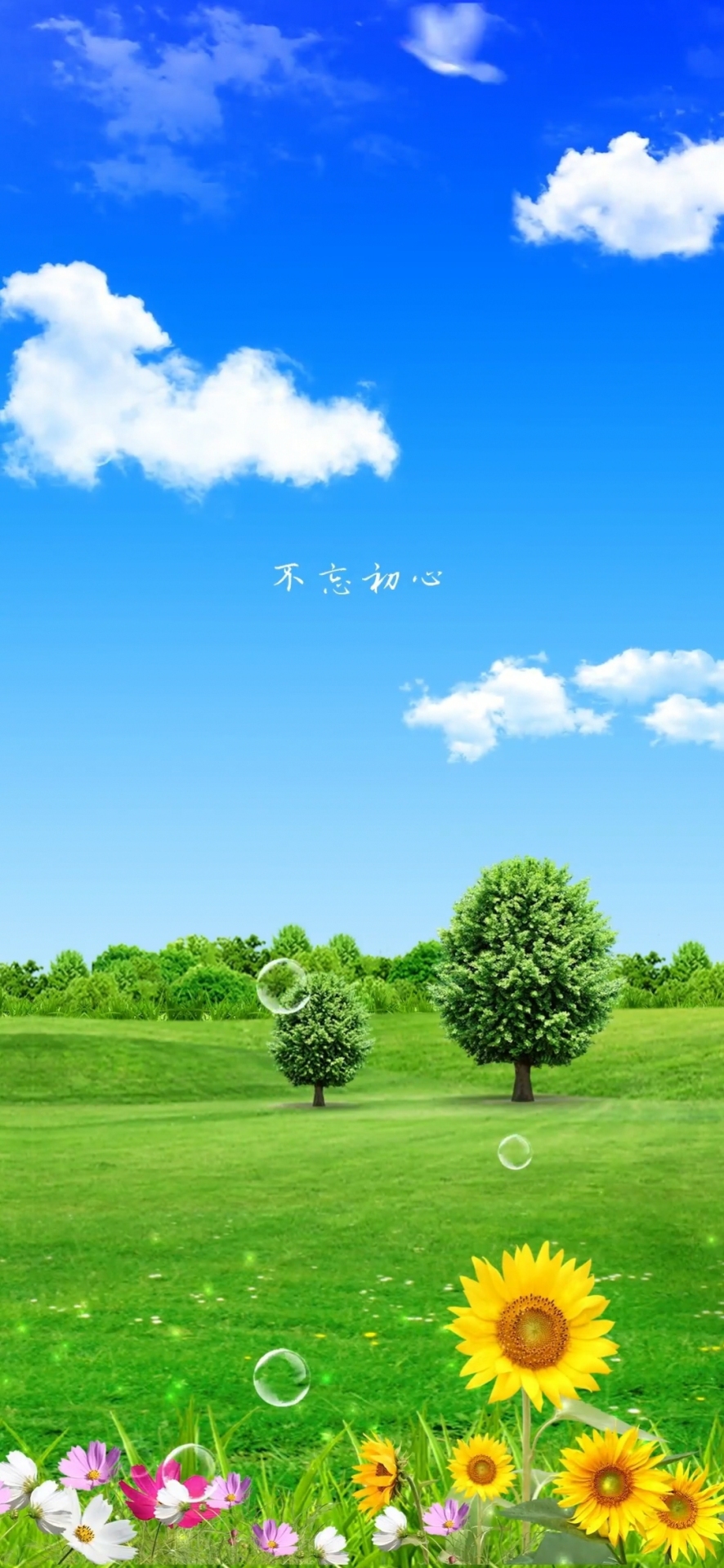 手機壁紙高清圖片藍天