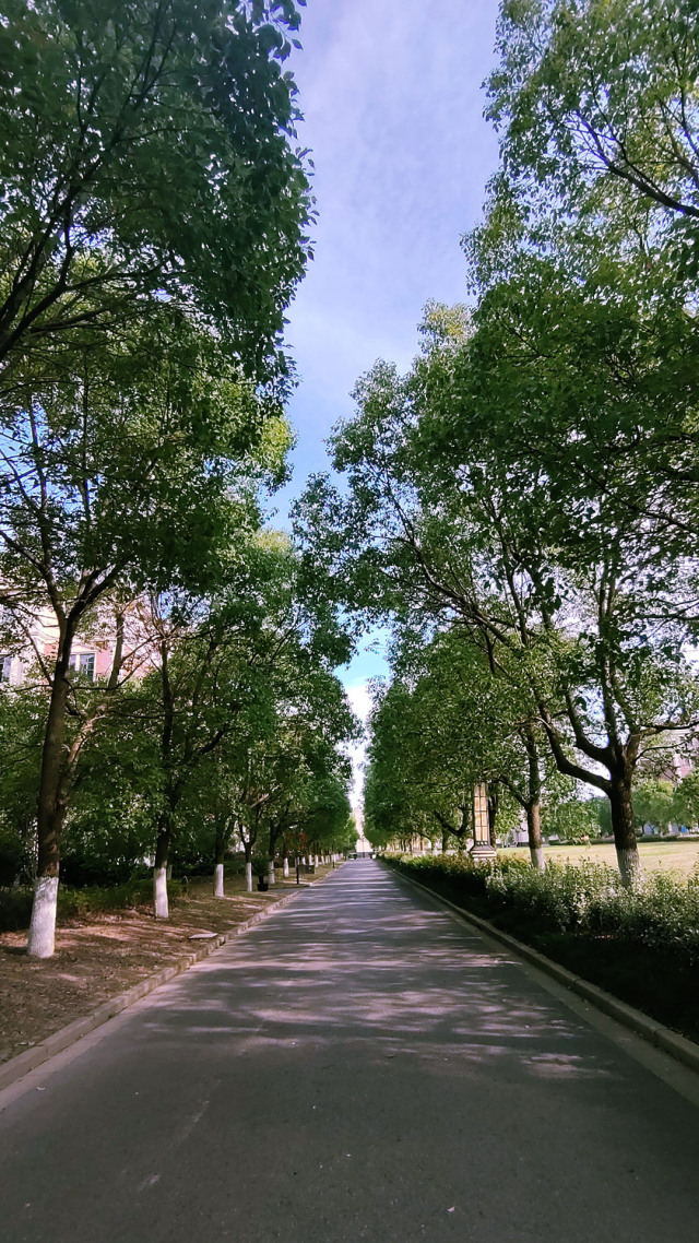 青春的路