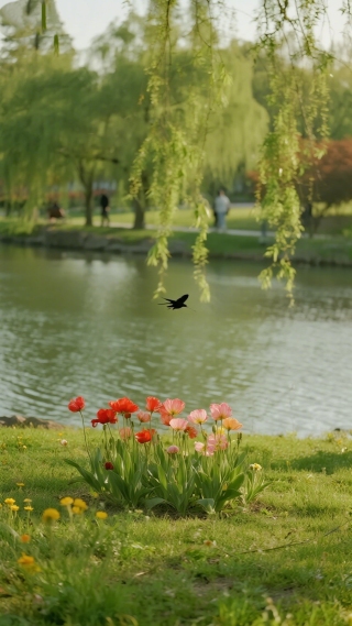 春天