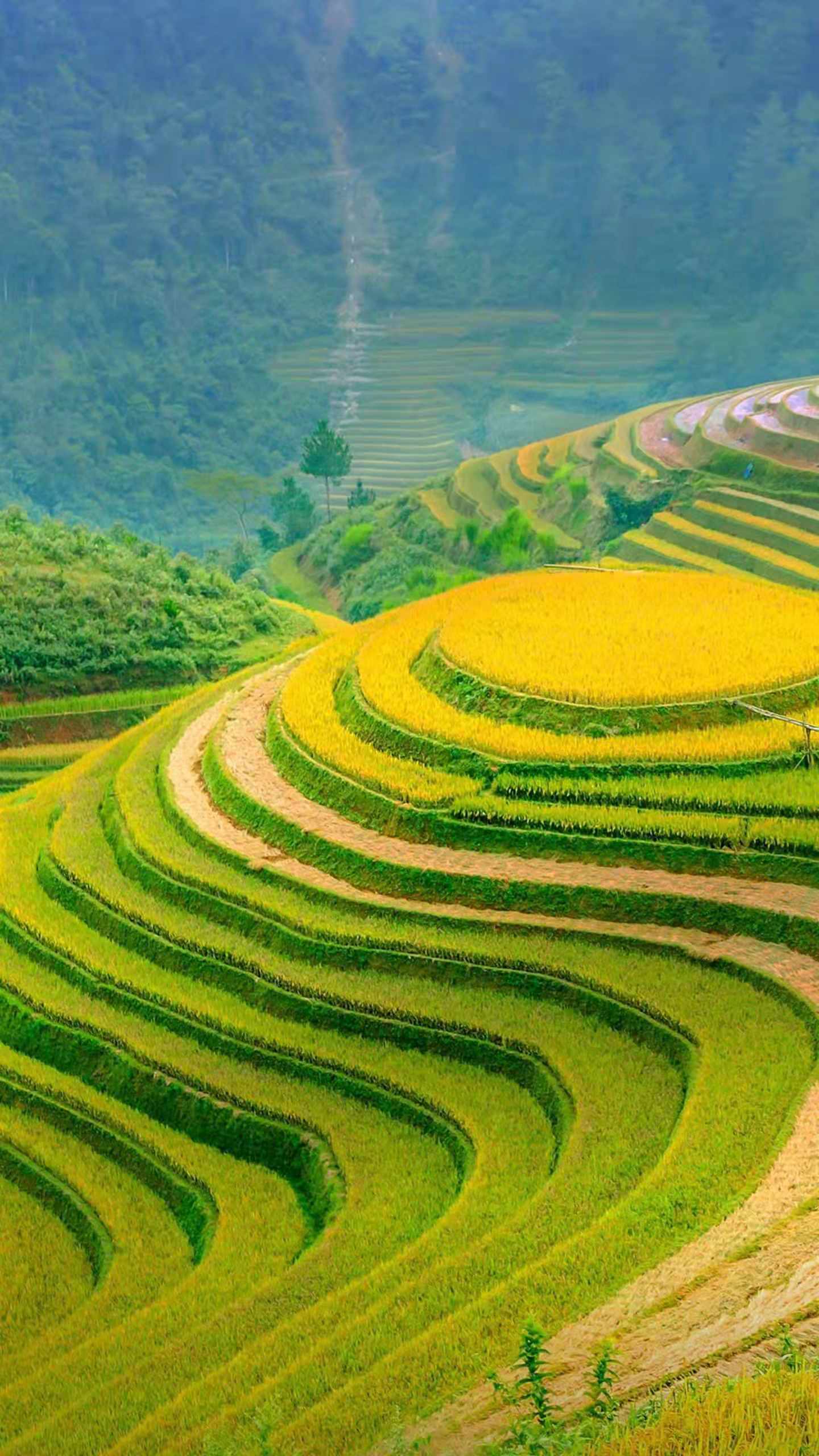 田埂微信背景图片大全