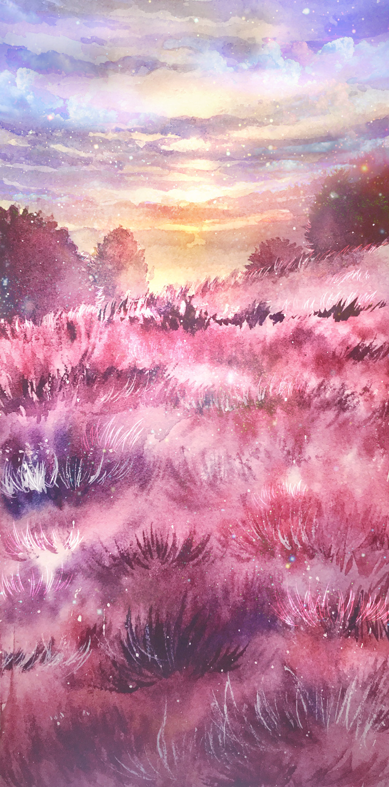 花田夕陽