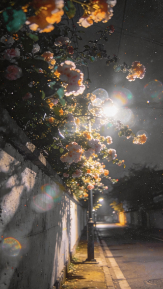 夜景2