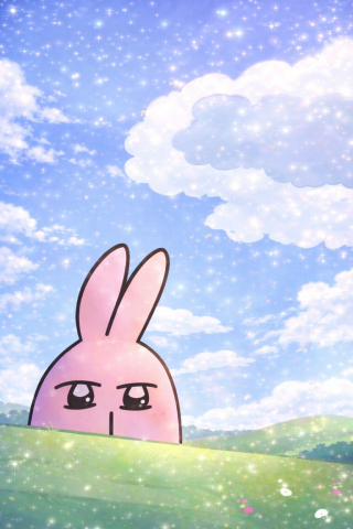 凝视