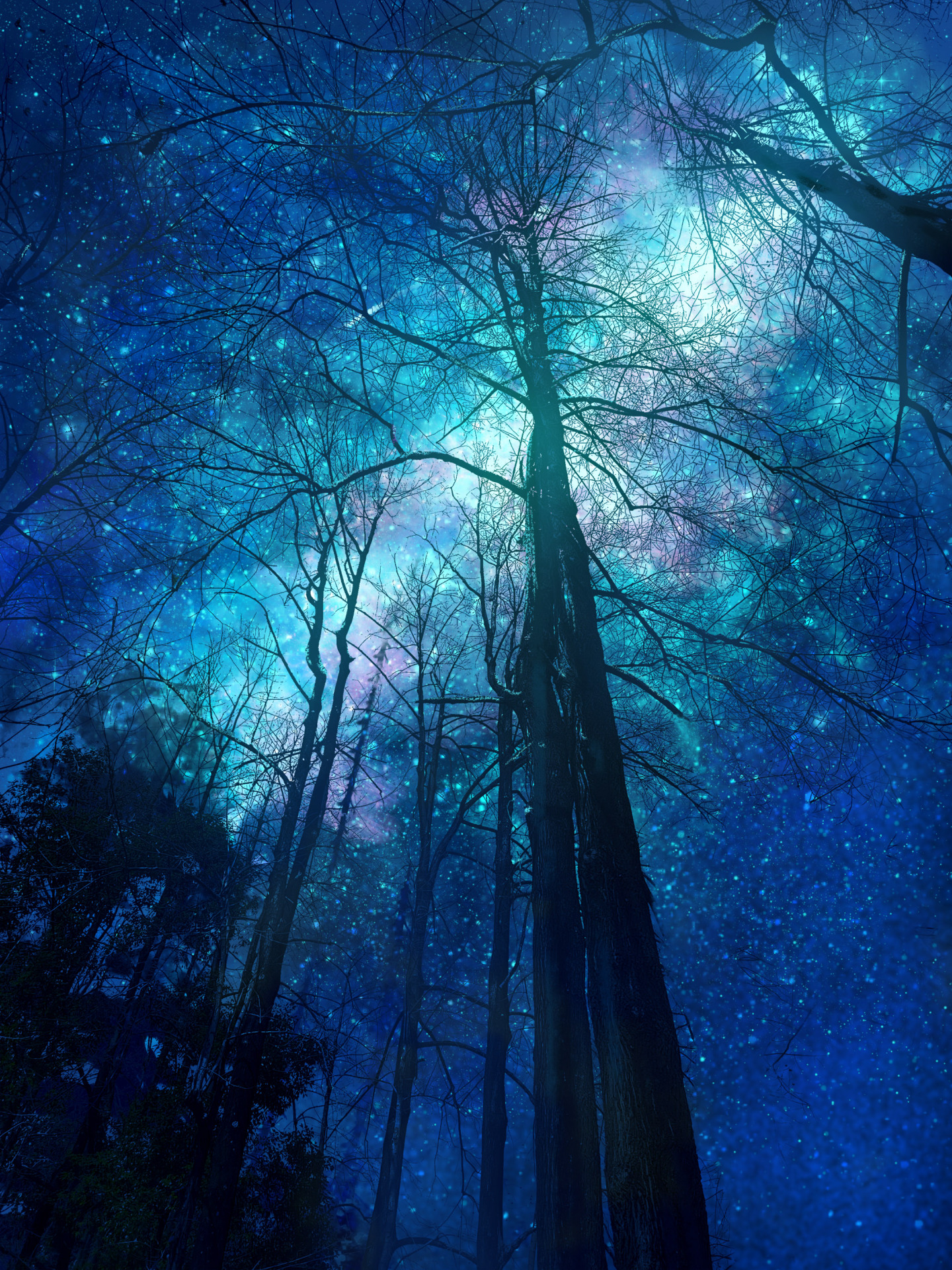 星空