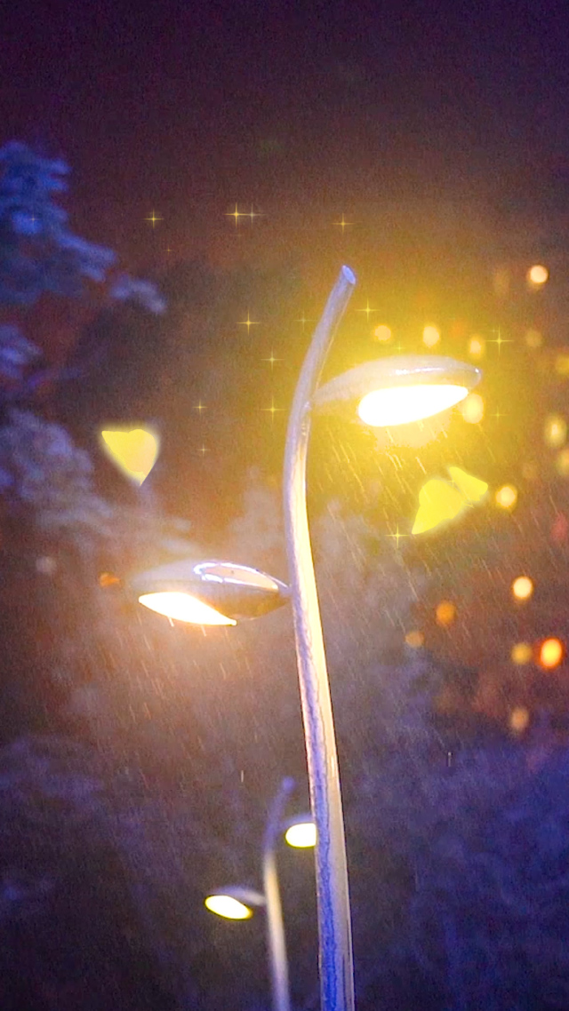 灯光下的夜精灵