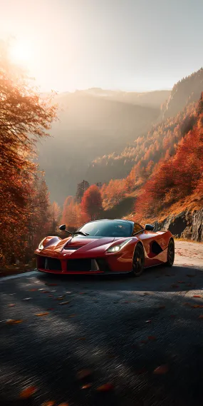 秋山弯道，红焰与金林