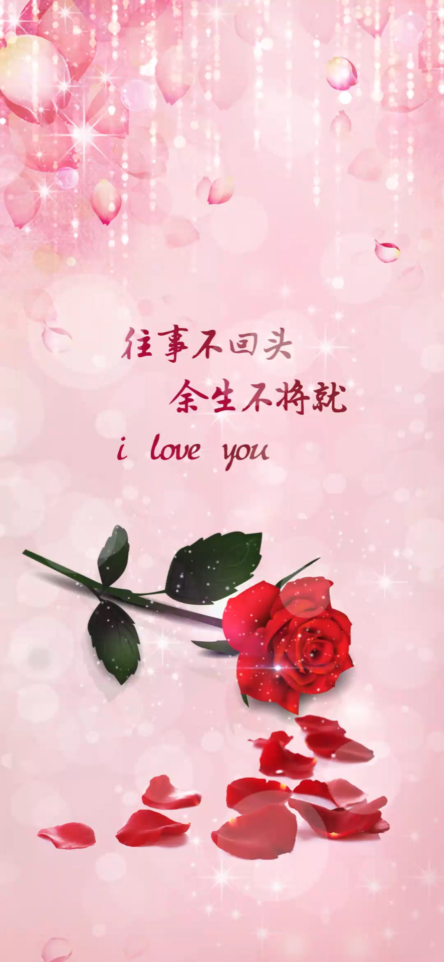 唯美玫瑰