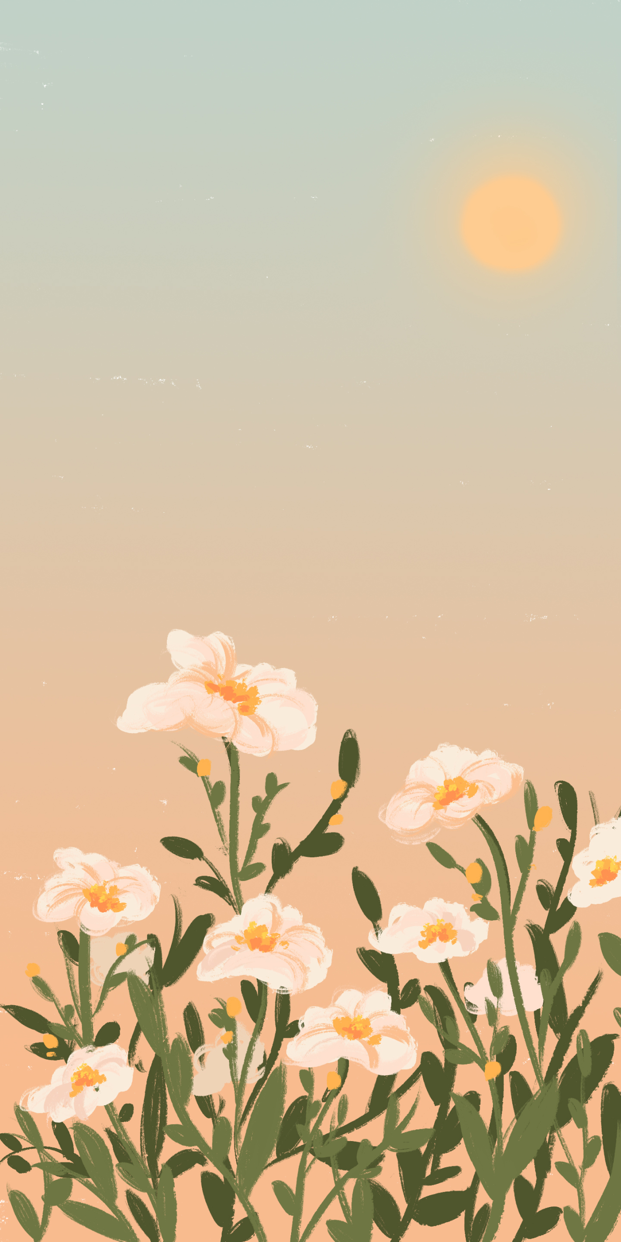 @花朵插畫 唯美