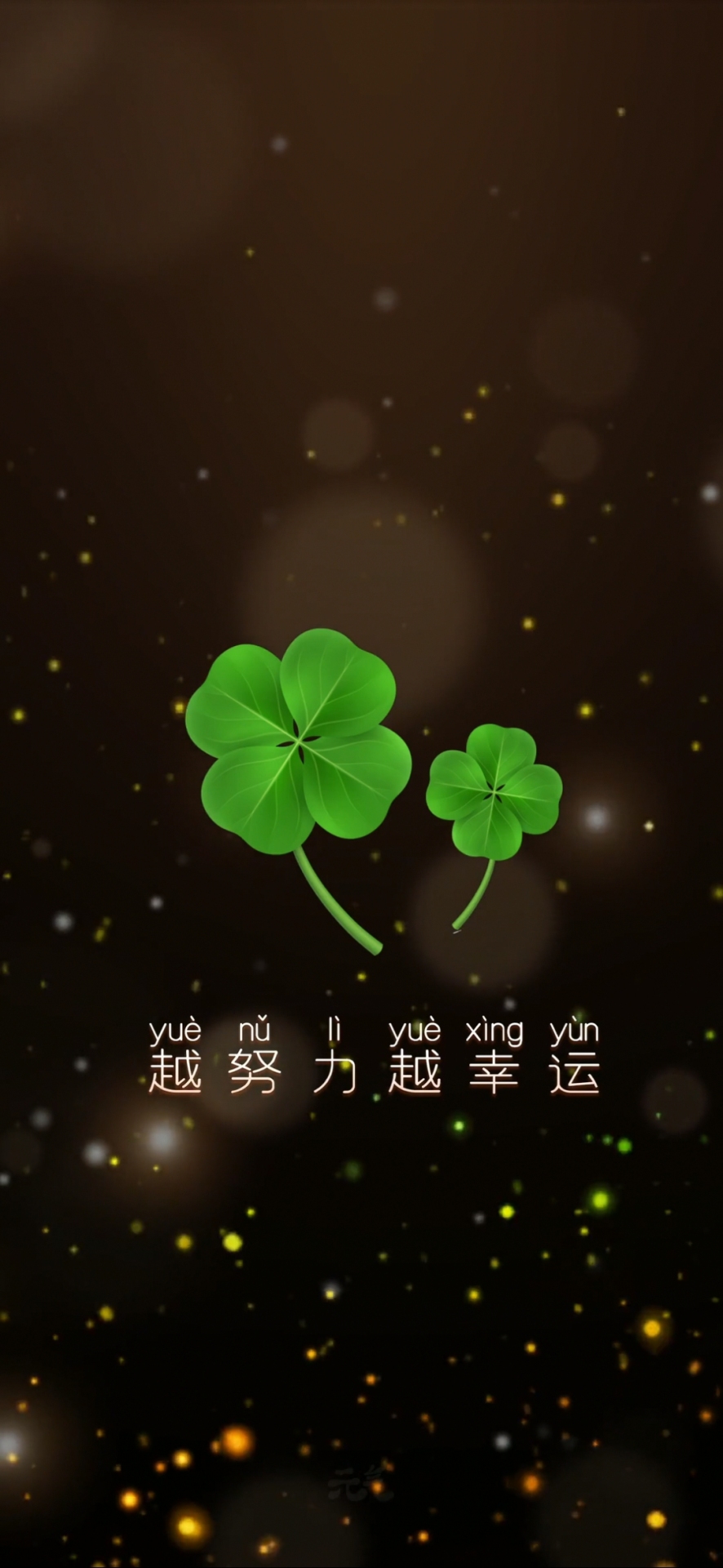 四叶草