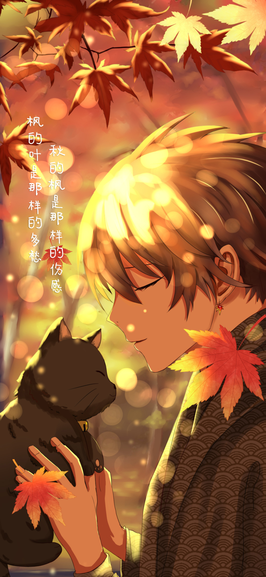 楓葉少年