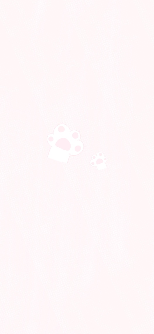 猫爪