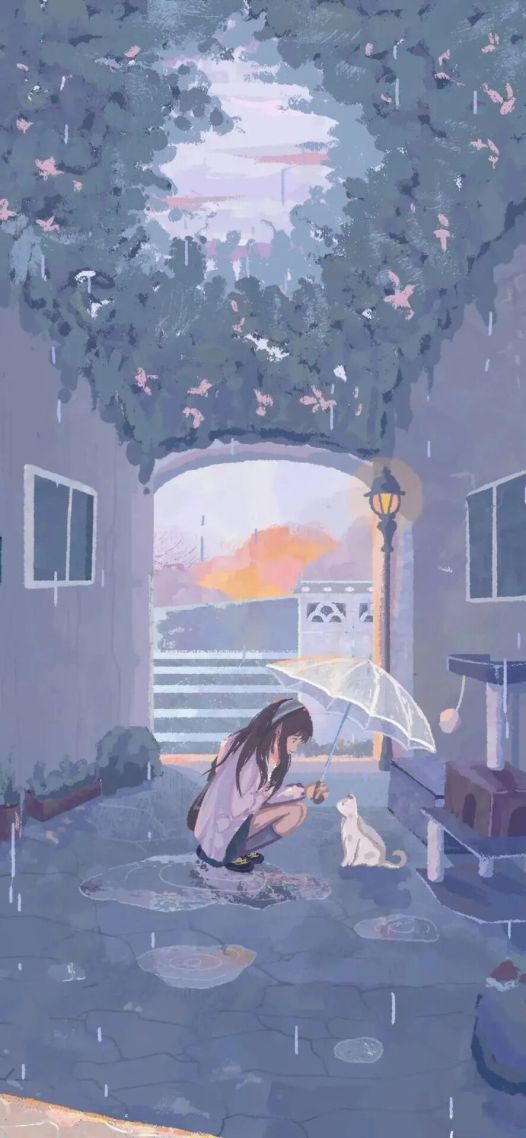 少女与猫