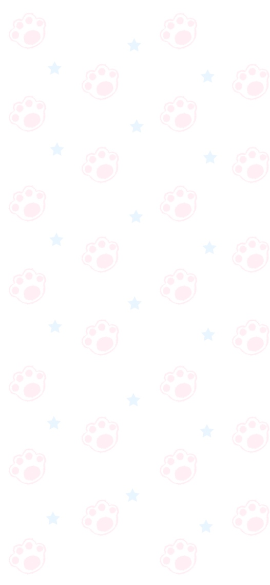猫爪