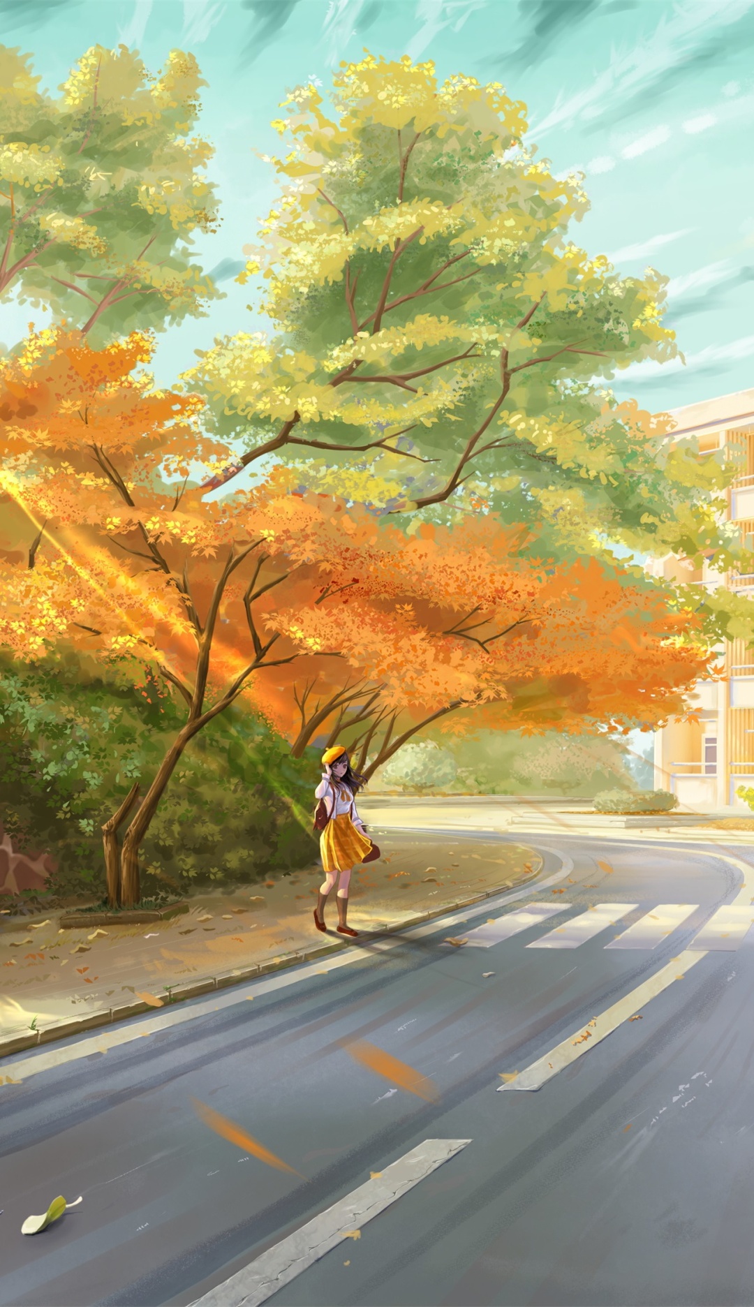 枫园路的女孩