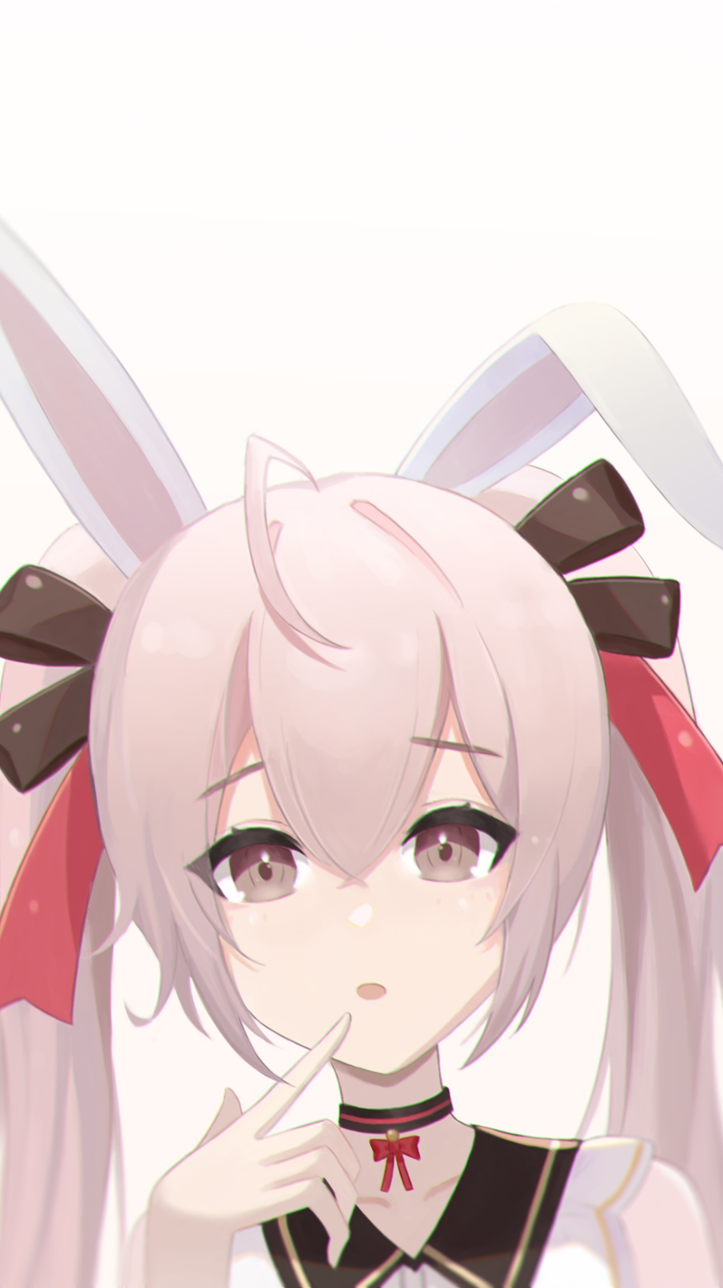 小兔兔