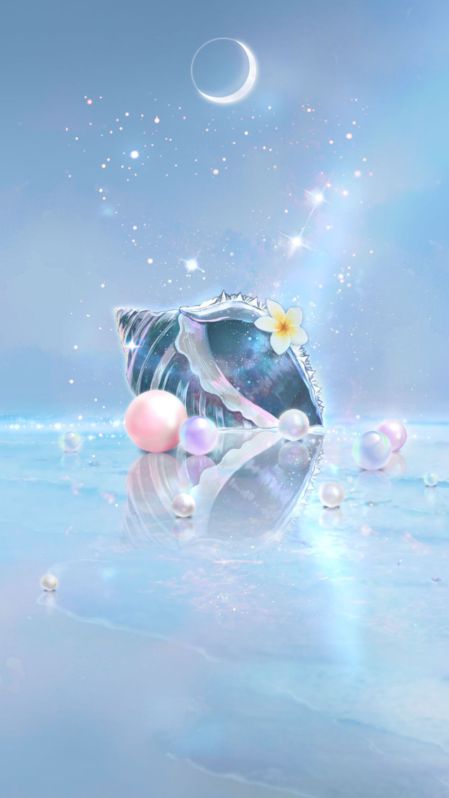 星光海螺