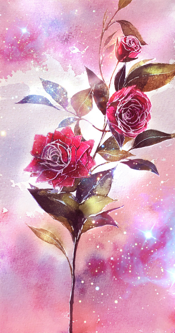 玫瑰花之恋