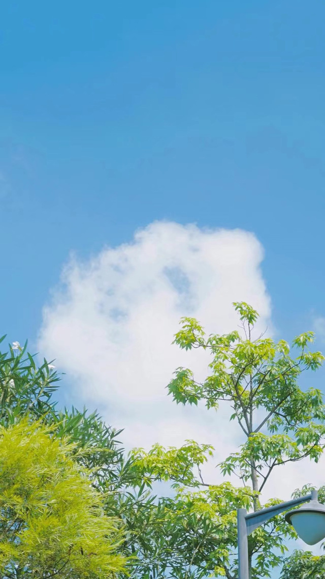微信背景牆圖片相思的雲