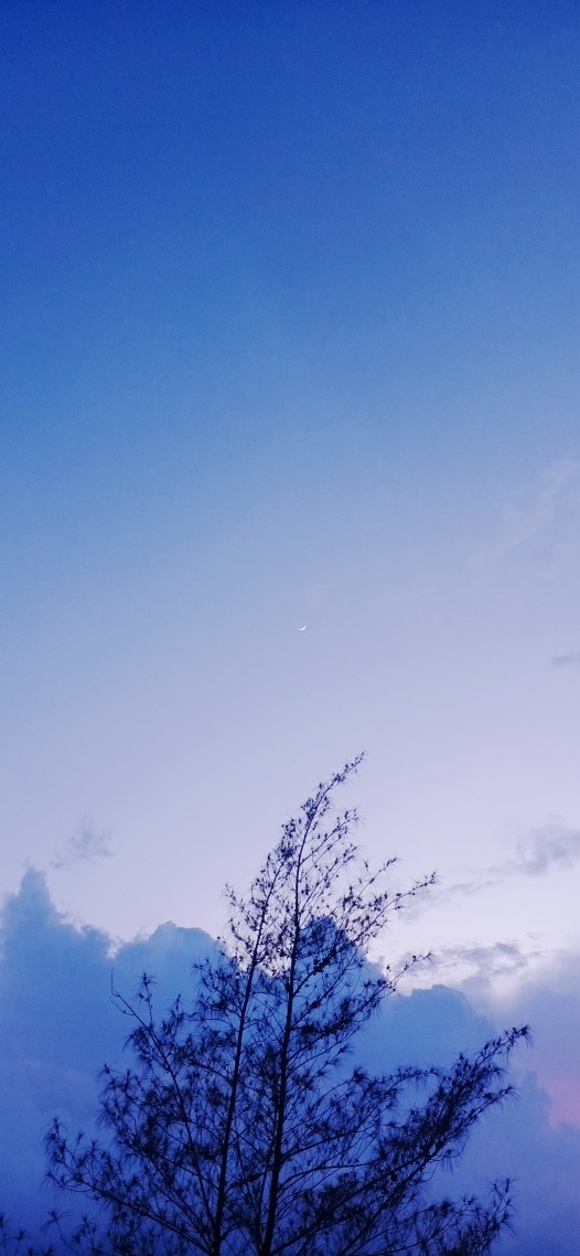 最美的風景
