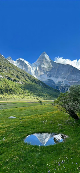 青山绿水浮